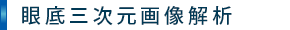 眼底三次元画像解析